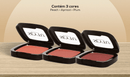 Blush Compacto PlumSEYTÚ COSMÉTICOSBlush Compacto PlumSuperNutriOmni