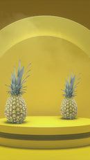 Egolife Omnilife Vidêo